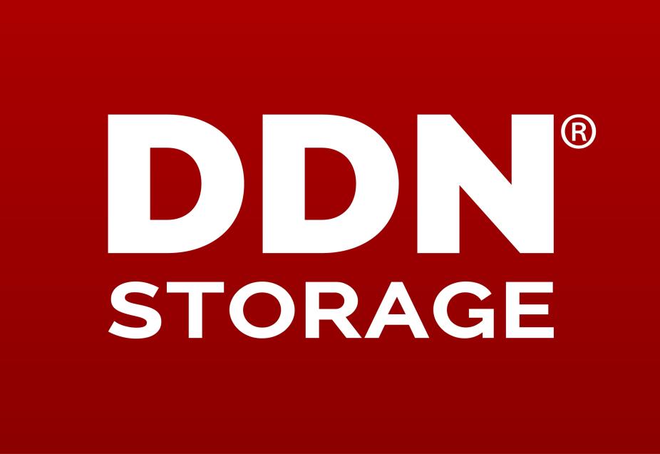 DDN Storage Logo
