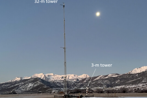 Cold fog amongst complex terrain